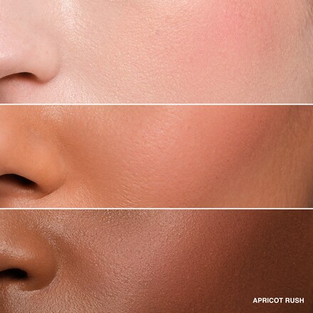 Pot Rouge Velvet Matte